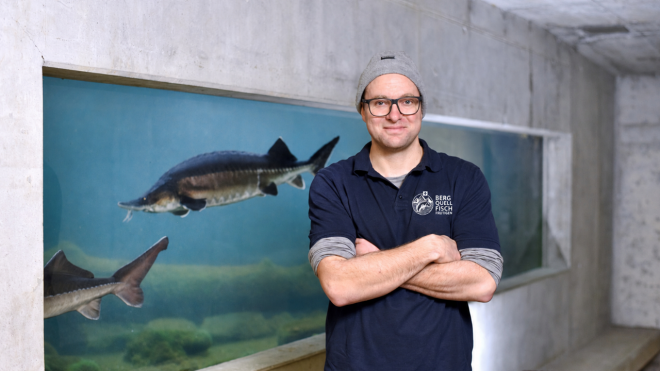 Martin Jeremias, Teamleiter Fischzucht, Tropenhaus Frutigen