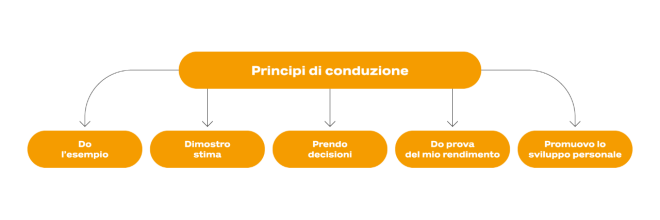 I notri principi di conduzione