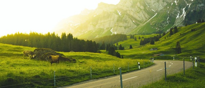 Un paesaggio di montagna con una strada e delle mucche