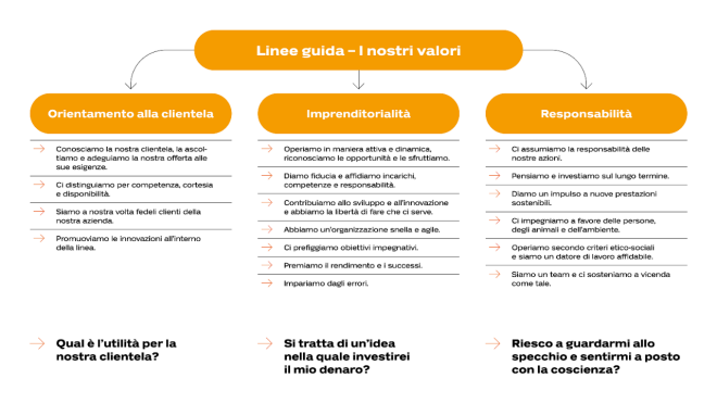 Grafica linee guida - i nostri valori