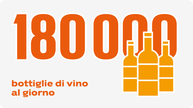 180000 bottiglie di vino al giorno